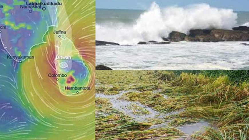 சென்னைக்கு தெற்கே 430 கி.மீ. தொலைவில் டிட்வா புயல்: மீட்பு பணிக்கு ஹெலிகாப்டர் பயன்படுத்த திட்டம்- அமைச்சர் கேகேஎஸ்எஸ்ஆர் 