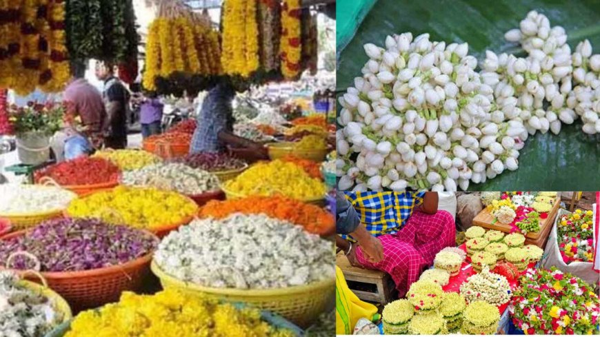 அதிக பனிப் பொழிவு : பூக்களின் விலை கிடுகிடு உயர்வு - மல்லிகை கிலோ 2,000 ரூபாய்க்கு விற்பனை !!!