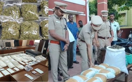 சென்னையில் மட்டும் இவ்வளவா: கடந்த ஆண்டு பறிமுதல் செய்யப்பட்ட போதைப்பொருட்கள்  ? போலீஸ் வெளியிட்ட அதிர்ச்சி தகவல் 