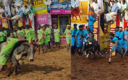அலங்காநல்லூர் ஜல்லிக்கட்டு கோலாகலம்:  சீறிய காளைகள் பாய்ந்து அடக்கிய வீரர்கள் 