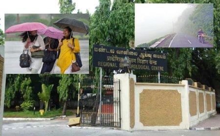வடகிழக்கு பருவமழை விலகியது: ஆனால் பனிமூட்டம் தொடரும், வானிலை ஆய்வு மையம் 