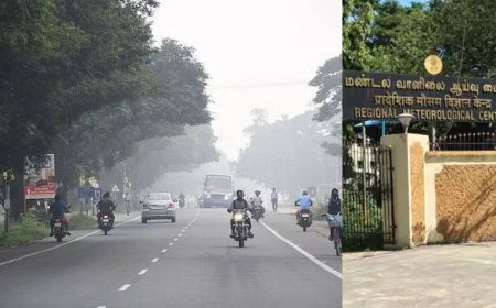 11 மாவட்டங்களில் 2 நாட்களுக்கு  பனிமூட்டம் தொடரும்: வானிலை ஆய்வு மையம் தகவல்