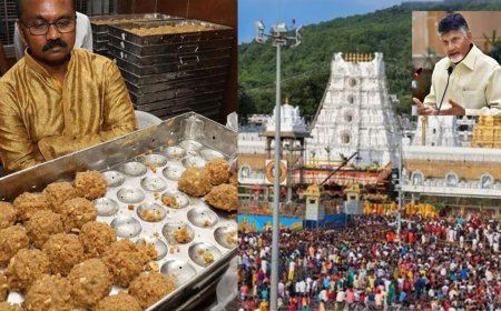 திருப்பதி லட்டில் குளியலறைகளை சுத்தம் செய்யும் ரசாயனம்: சந்திரபாபு நாயுடு பகீர் குற்றச்சாட்டு 