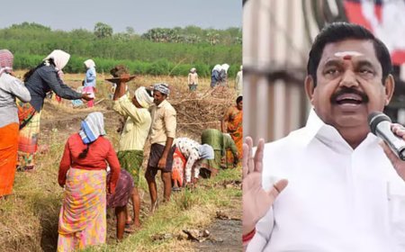 ஊராட்சி பணியாளர்கள் தேர்தல் பிரசாரத்திற்கு பயன்படுத்தும் திமுக: எடப்பாடி பழனிசாமி குற்றச்சாட்டு 