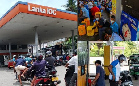 4 லிட்டர் பெட்ரோல் பதுக்கியவருக்கு 21 நாட்கள் சிறை : எந்த நாட்டில் தெரியுமா ?