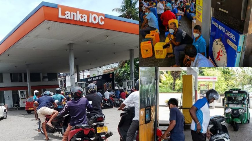 4 லிட்டர் பெட்ரோல் பதுக்கியவருக்கு 21 நாட்கள் சிறை : எந்த நாட்டில் தெரியுமா ?